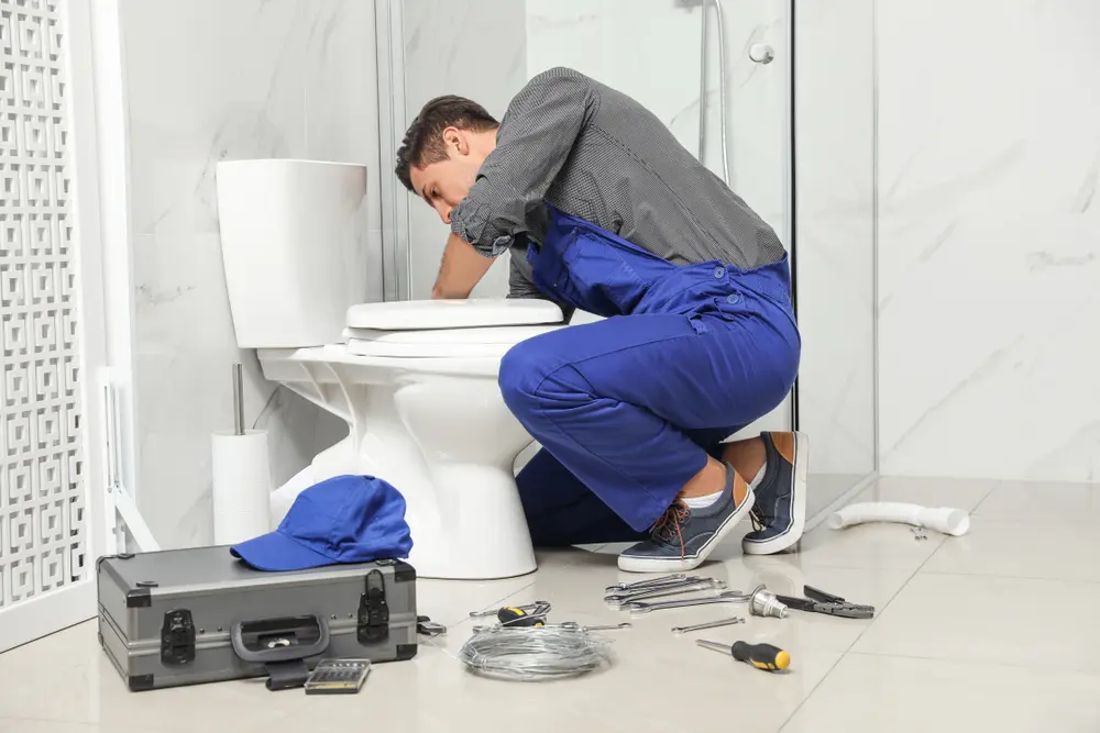 Toilet maintenance service